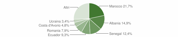Grafico cittadinanza stranieri - Monticello Brianza 2011