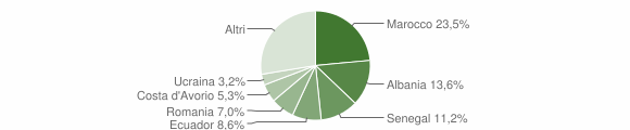 Grafico cittadinanza stranieri - Monticello Brianza 2013