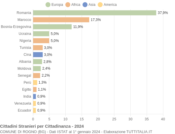 Grafico cittadinanza stranieri - Rogno 2024