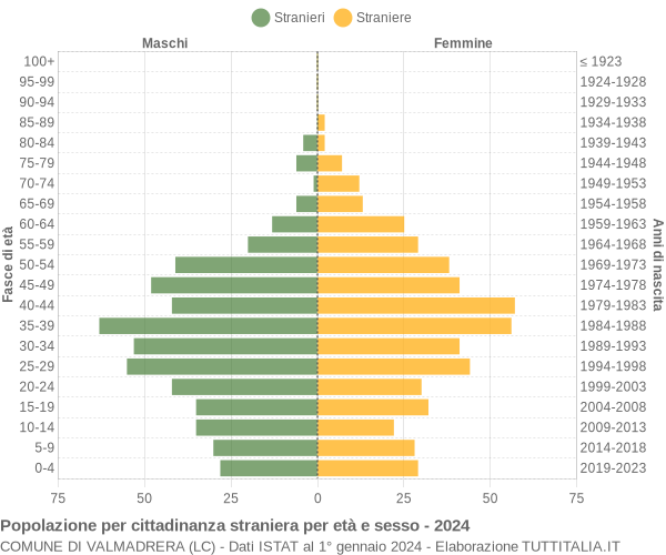 Grafico cittadini stranieri - Valmadrera 2024