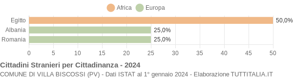 Grafico cittadinanza stranieri - Villa Biscossi 2024