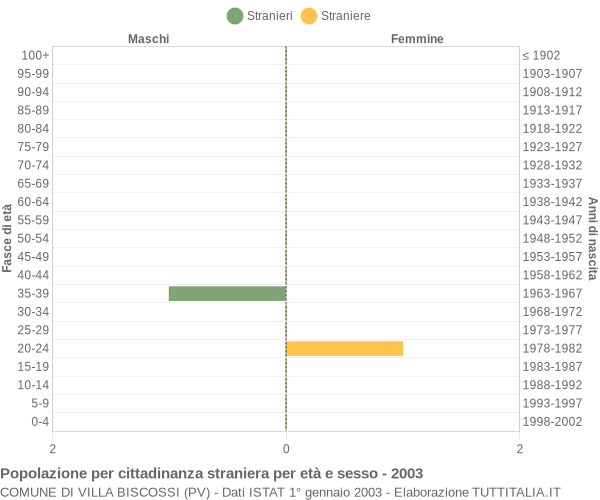 Grafico cittadini stranieri - Villa Biscossi 2003