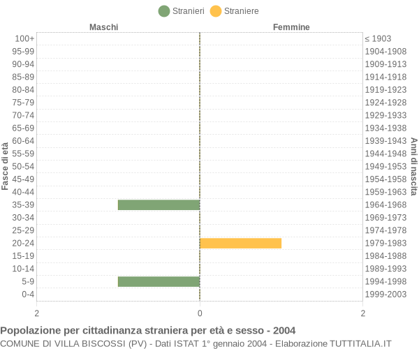 Grafico cittadini stranieri - Villa Biscossi 2004