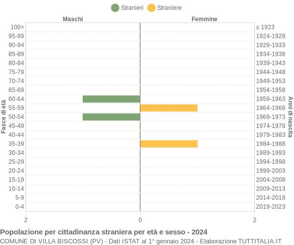 Grafico cittadini stranieri - Villa Biscossi 2024