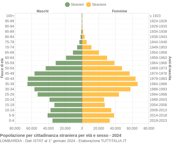 Grafico cittadini stranieri - 2024