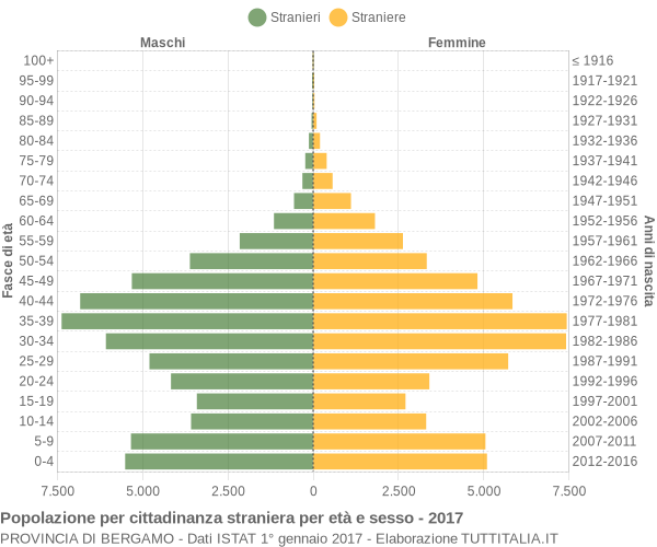 Grafico cittadini stranieri - 2017