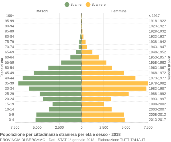 Grafico cittadini stranieri - 2018