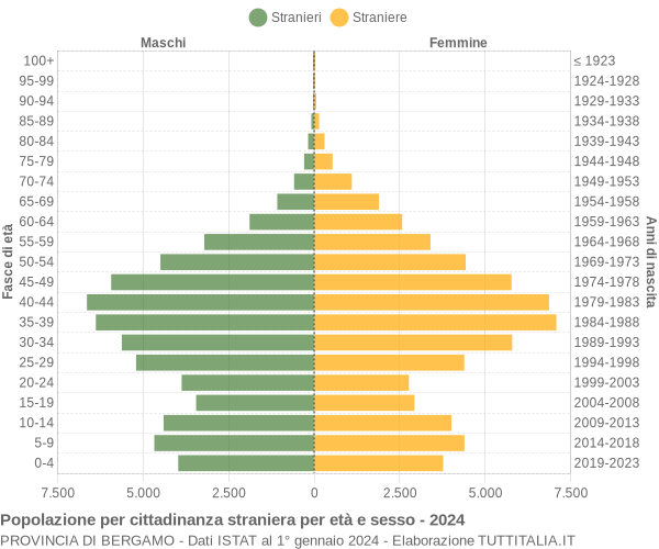 Grafico cittadini stranieri - 2024