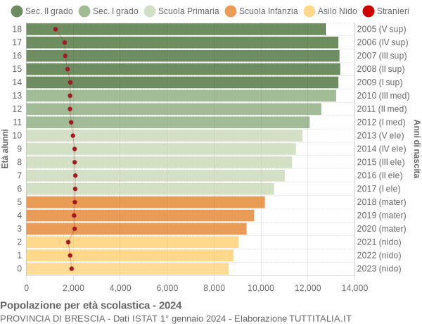 Grafico Popolazione in età scolastica - 2024