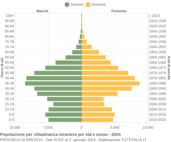 Grafico cittadini stranieri - 2024