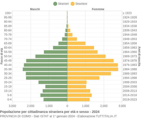 Grafico cittadini stranieri - 2024