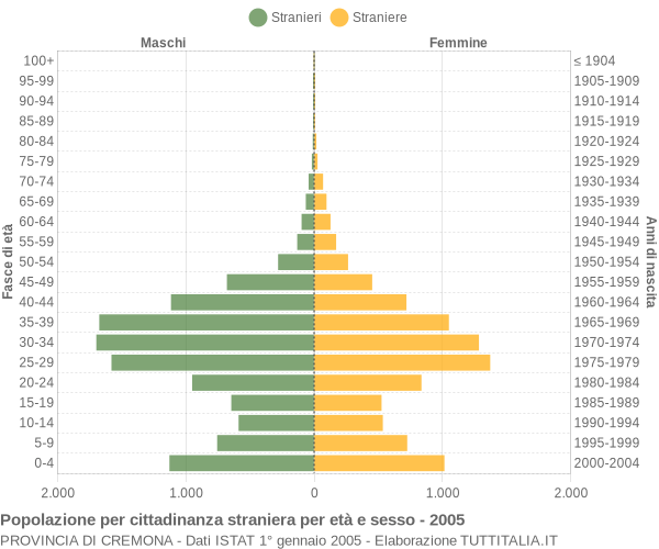 Grafico cittadini stranieri - 2005