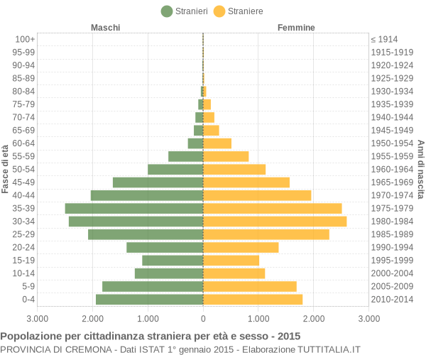 Grafico cittadini stranieri - 2015