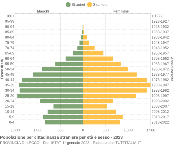 Grafico cittadini stranieri - 2023