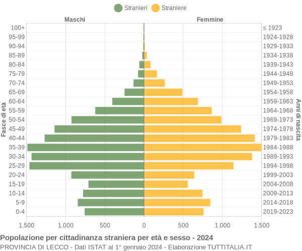 Grafico cittadini stranieri - 2024