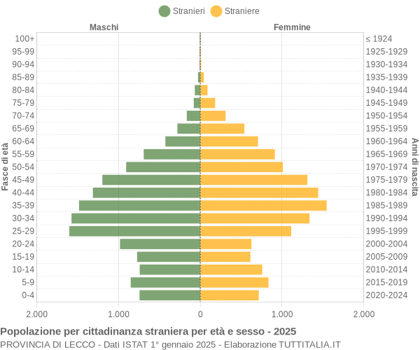 Grafico cittadini stranieri - 2025