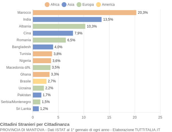 Grafico cittadinanza stranieri - 2004