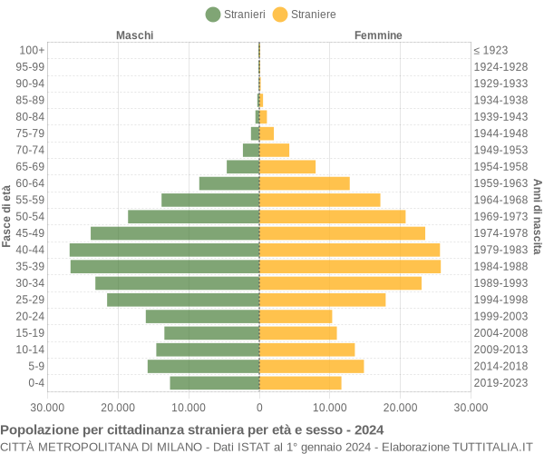 Grafico cittadini stranieri - 2024