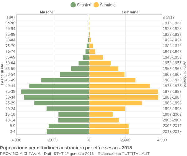 Grafico cittadini stranieri - 2018