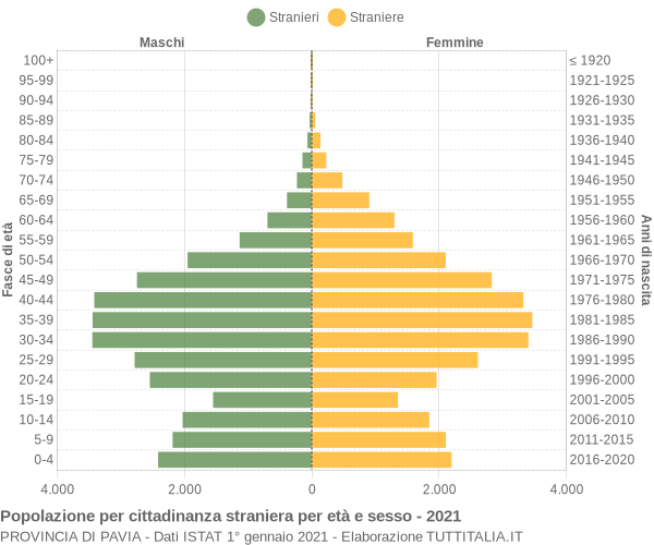 Grafico cittadini stranieri - 2021