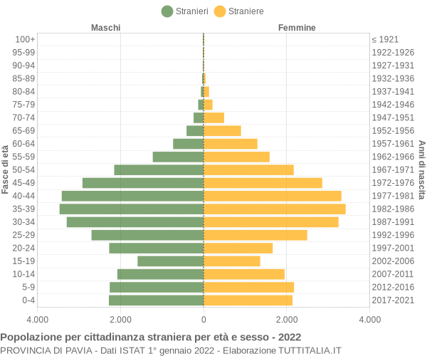 Grafico cittadini stranieri - 2022