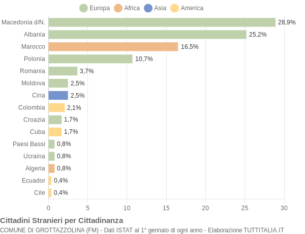 Grafico cittadinanza stranieri - Grottazzolina 2006