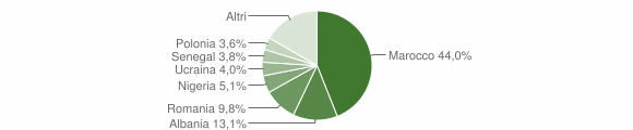 Grafico cittadinanza stranieri - Sassocorvaro Auditore 2015