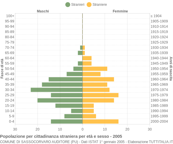 Grafico cittadini stranieri - Sassocorvaro Auditore 2005