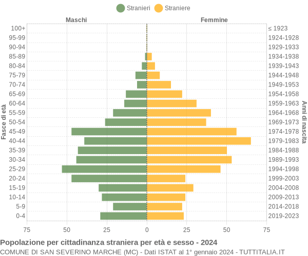 Grafico cittadini stranieri - San Severino Marche 2024