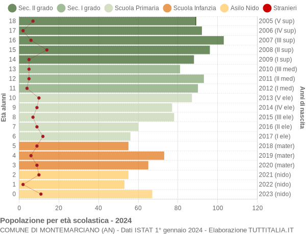 Grafico Popolazione in età scolastica - Montemarciano 2024