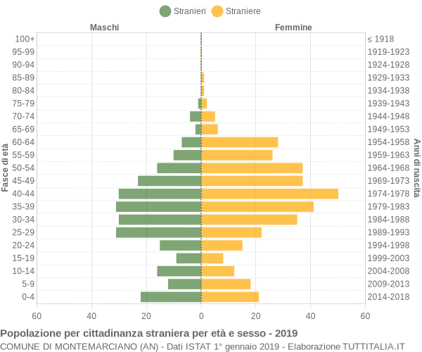 Grafico cittadini stranieri - Montemarciano 2019