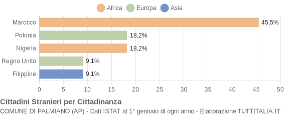 Grafico cittadinanza stranieri - Palmiano 2010