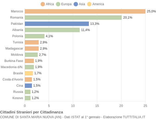 Grafico cittadinanza stranieri - Santa Maria Nuova 2013