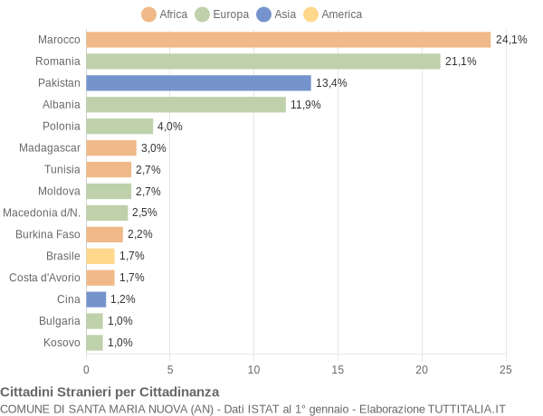 Grafico cittadinanza stranieri - Santa Maria Nuova 2014