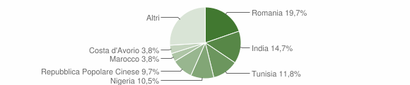 Grafico cittadinanza stranieri - Rosora 2015