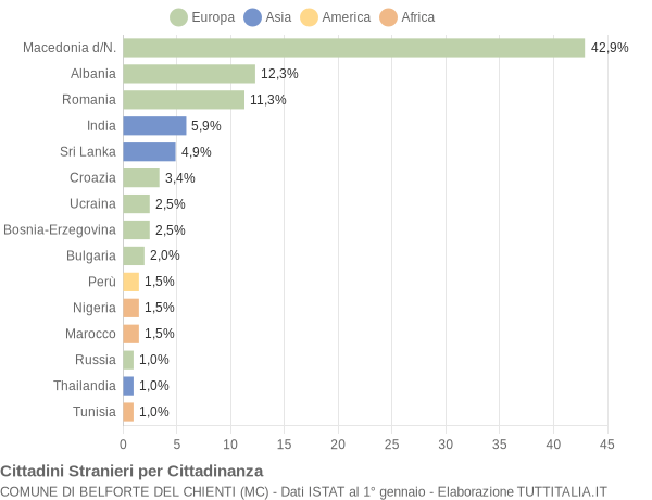 Grafico cittadinanza stranieri - Belforte del Chienti 2009