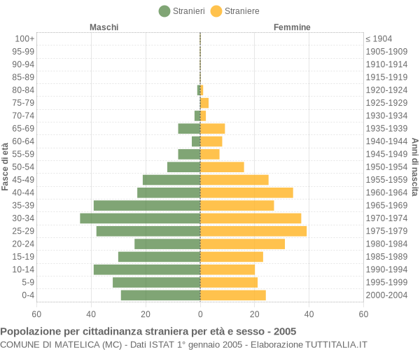Grafico cittadini stranieri - Matelica 2005