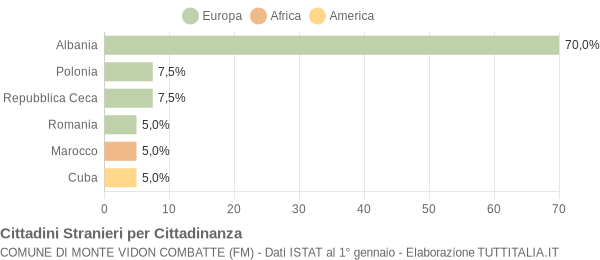 Grafico cittadinanza stranieri - Monte Vidon Combatte 2005