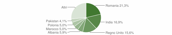 Grafico cittadinanza stranieri - San Ginesio 2015