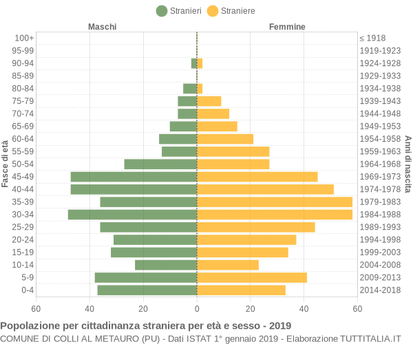 Grafico cittadini stranieri - Colli al Metauro 2019