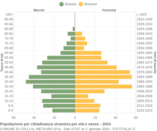 Grafico cittadini stranieri - Colli al Metauro 2024