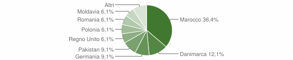 Grafico cittadinanza stranieri - Barchi 2007