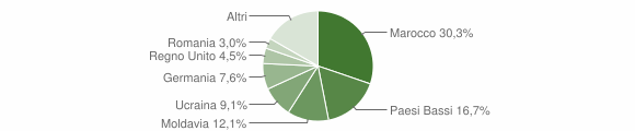 Grafico cittadinanza stranieri - Barchi 2011