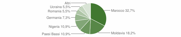 Grafico cittadinanza stranieri - Barchi 2013