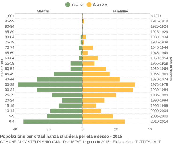 Grafico cittadini stranieri - Castelplanio 2015