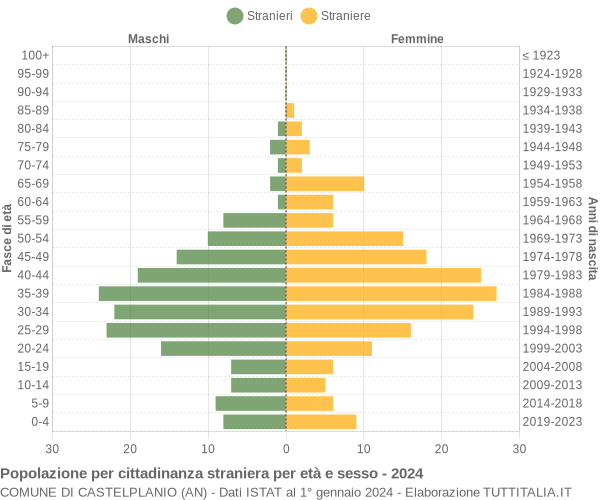 Grafico cittadini stranieri - Castelplanio 2024