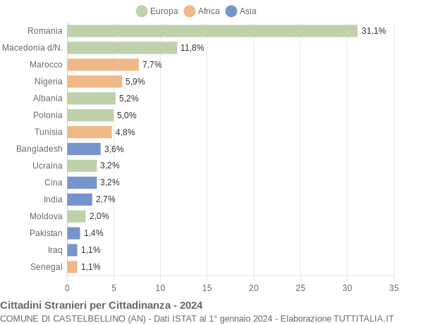 Grafico cittadinanza stranieri - Castelbellino 2024