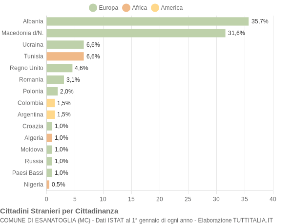 Grafico cittadinanza stranieri - Esanatoglia 2008