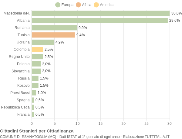 Grafico cittadinanza stranieri - Esanatoglia 2013