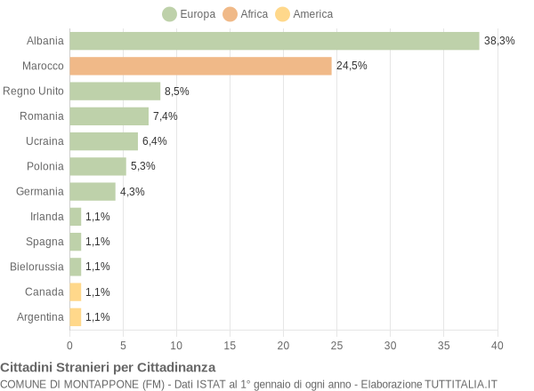 Grafico cittadinanza stranieri - Montappone 2006